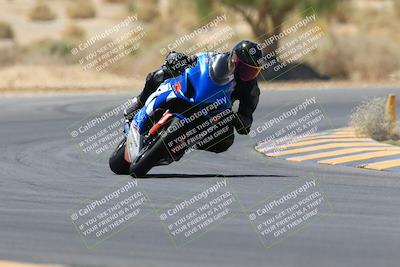 media/May-14-2023-SoCal Trackdays (Sun) [[024eb53b40]]/Turn 5 Tree of Life (1125am)/